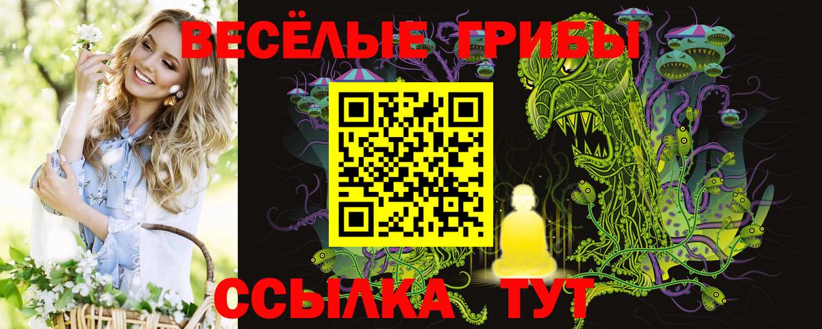 Псилоцибиновые грибы Psilocybe Дзержинск